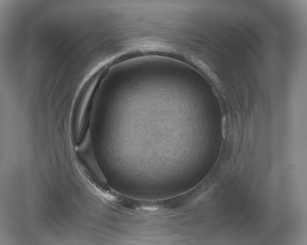 X0000079340391200612011939