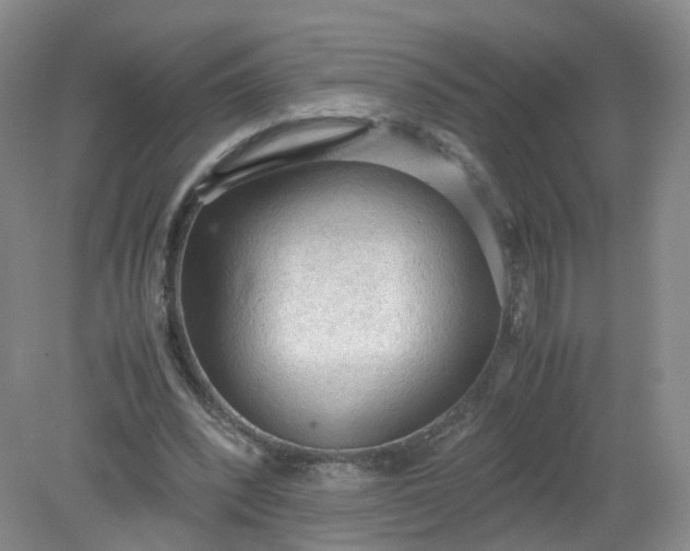 X0000079340392200612011939