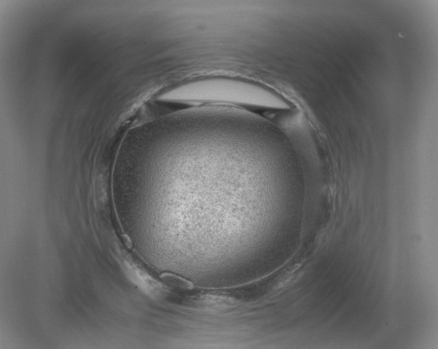 X0000079340393200612011939