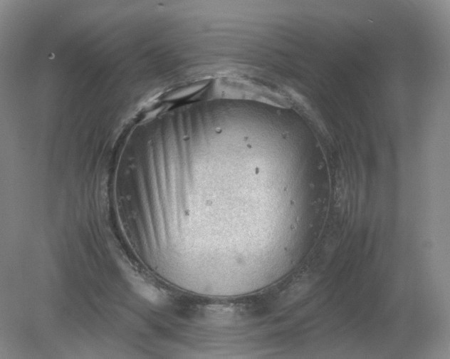 X0000079340394200612011939