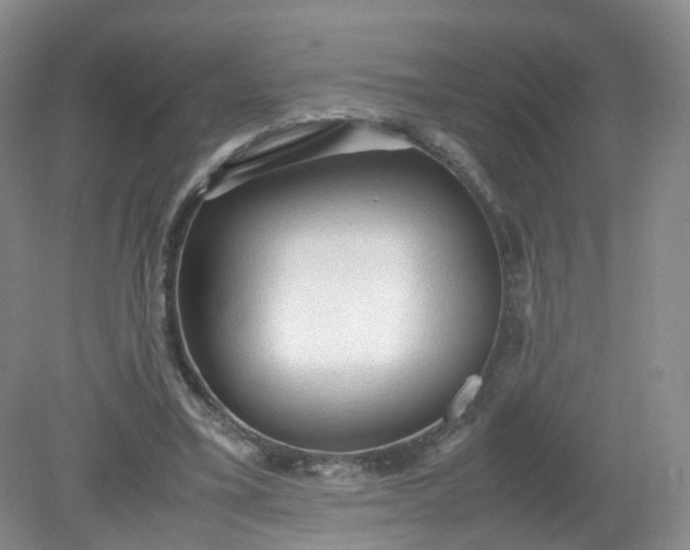 X0000079340395200612011939