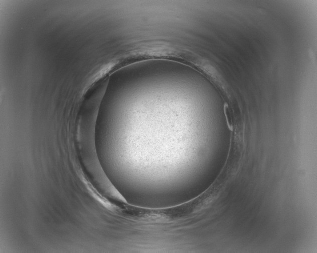 X0000079340397200612011939