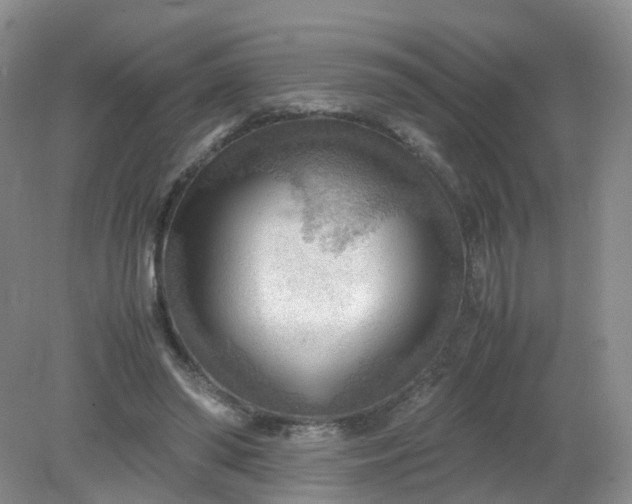 X0000079340398200612011939