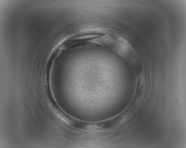 X0000079340399200612011939