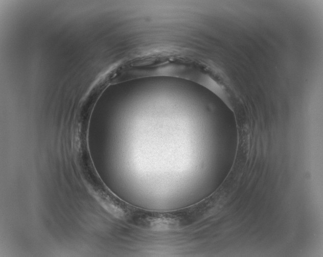 X0000079340400200612011939