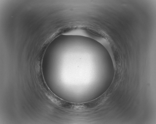 X0000079340401200612011939