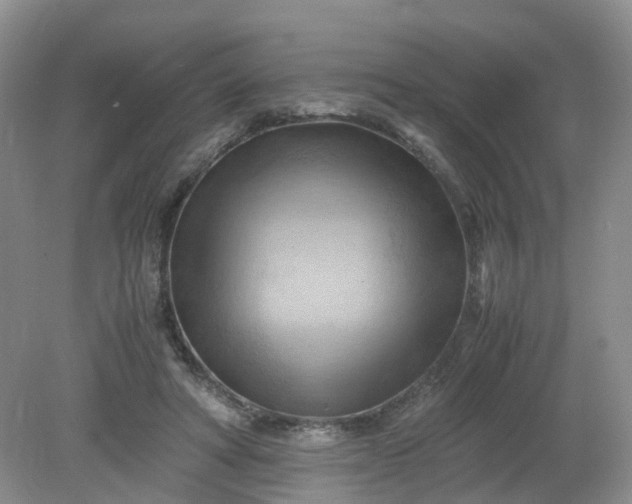 X0000079340402200612011939