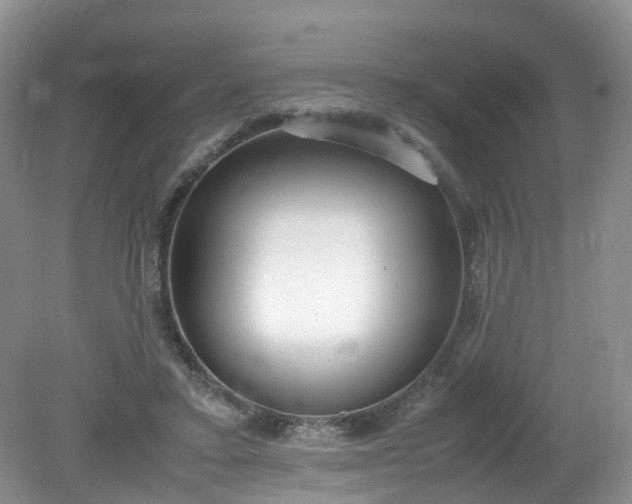 X0000079340403200612011939