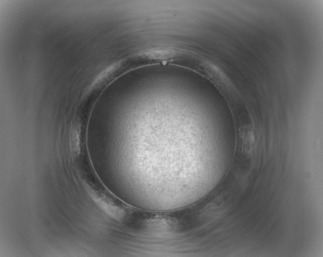 X0000079340404200612011939