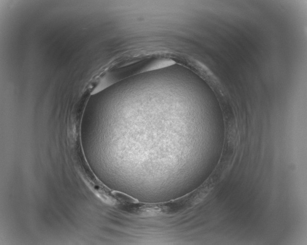 X0000079340405200612011939