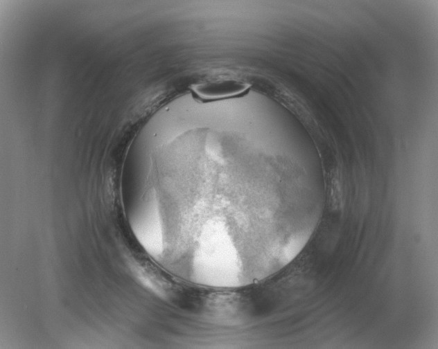 X0000079340410200612011939