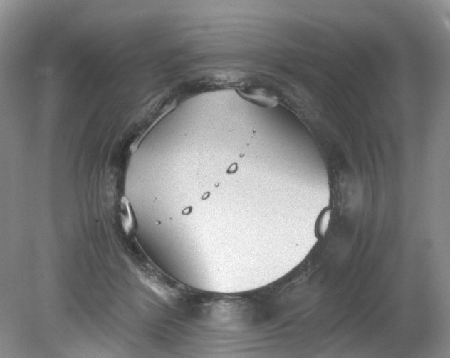 X0000079340412200612011939