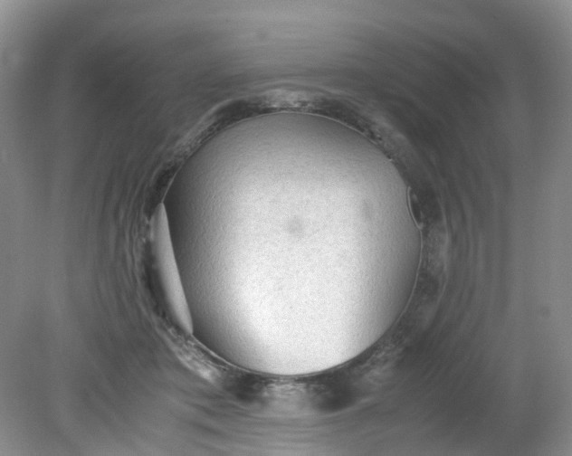 X0000079340413200612011939