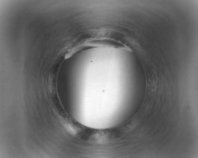 X0000079340416200612011939