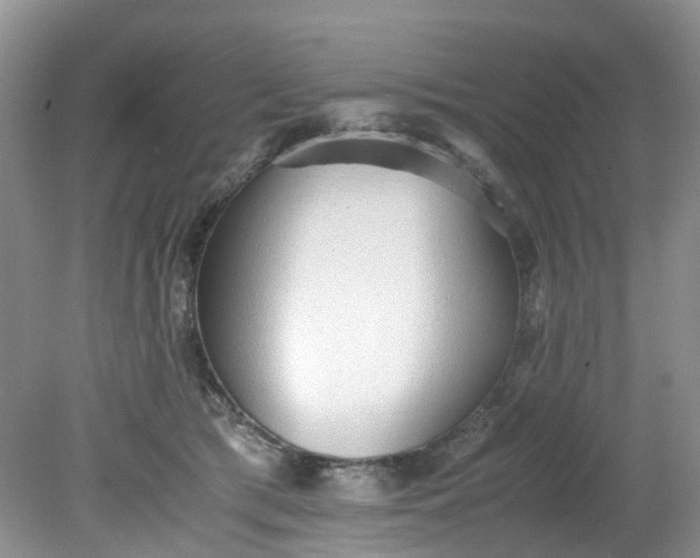 X0000079340417200612011939