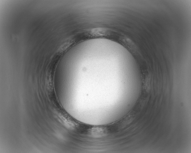 X0000079340418200612011939