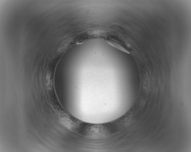 X0000079340420200612011939