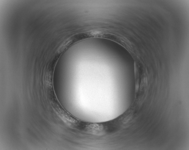 X0000079340421200612011939