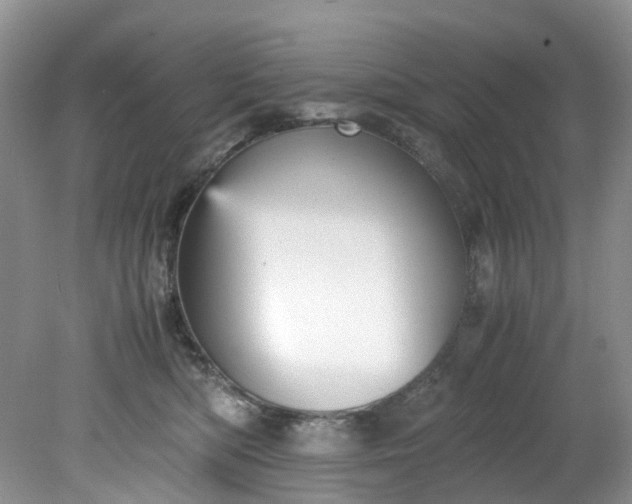 X0000079340422200612011939