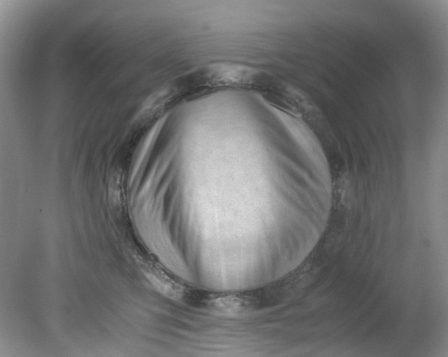 X0000079340423200612011939