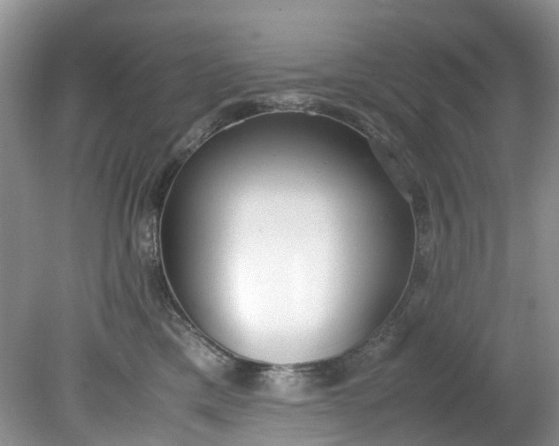 X0000079340425200612011939