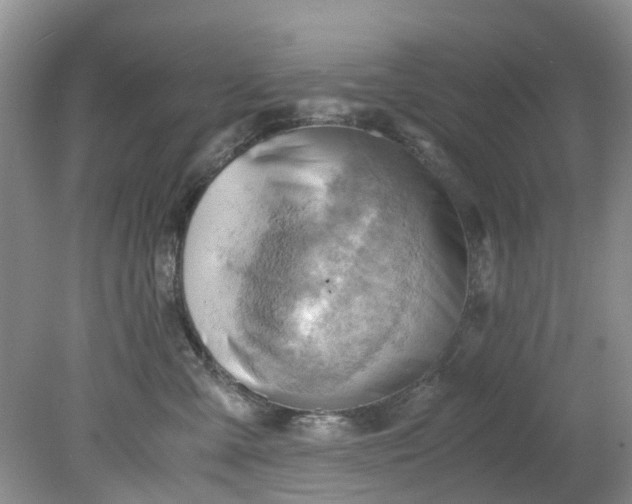 X0000079340427200612011939