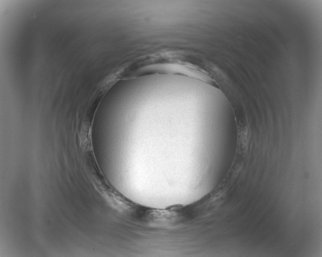 X0000079340429200612011939