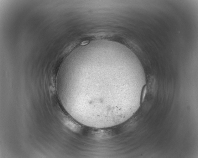 X0000079340430200612011939