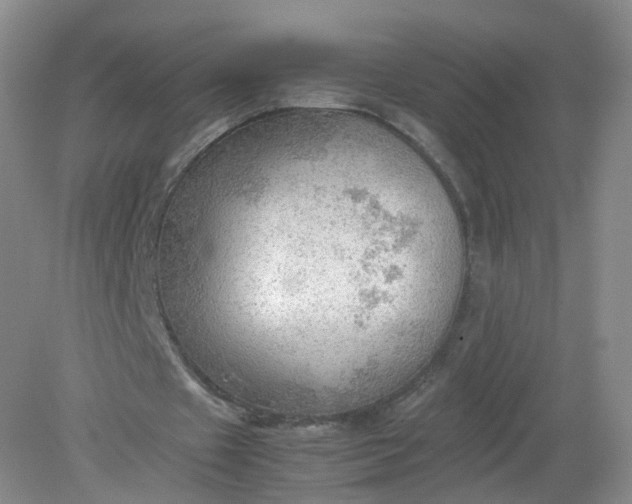 X0000079340433200612011938