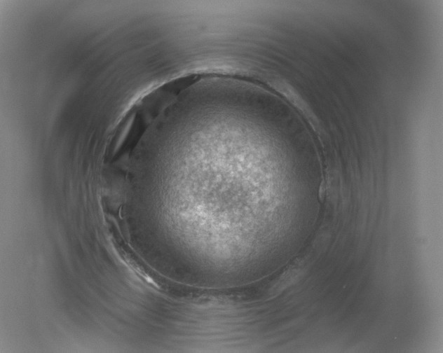 X0000079340434200612011938