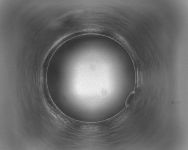 X0000079340435200612011938