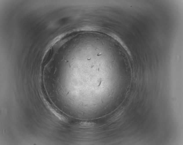 X0000079340437200612011938