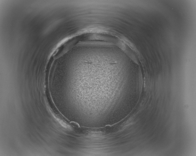 X0000079340438200612011938