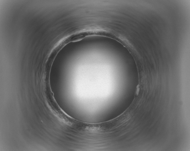 X0000079340440200612011938