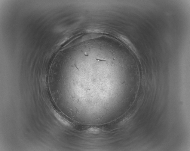 X0000079340441200612011938