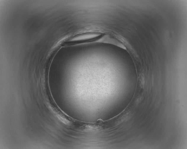 X0000079340442200612011938