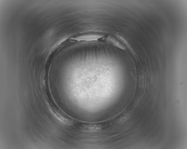 X0000079340443200612011938