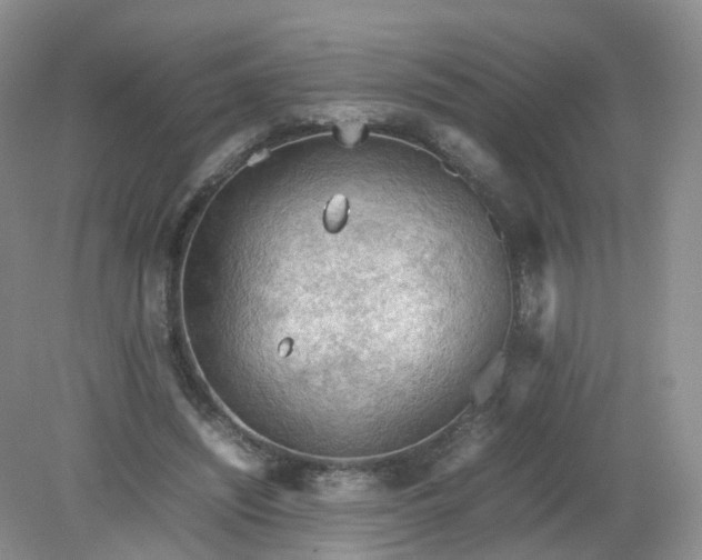 X0000079340444200612011938