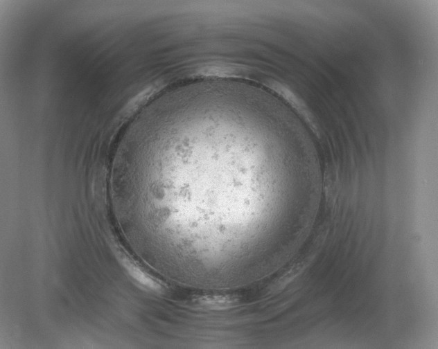 X0000079340445200612011938