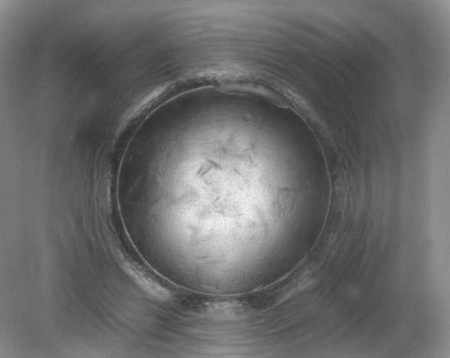 X0000079340446200612011938