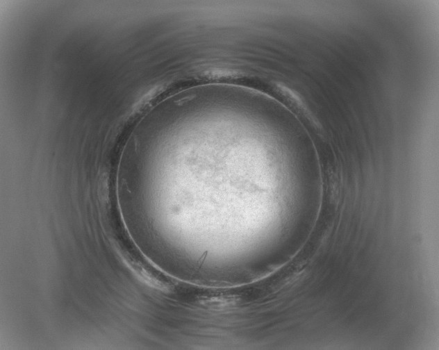 X0000079340447200612011938