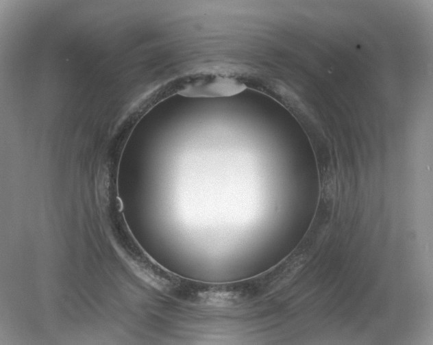 X0000079340448200612011938