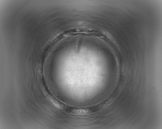 X0000079340449200612011938