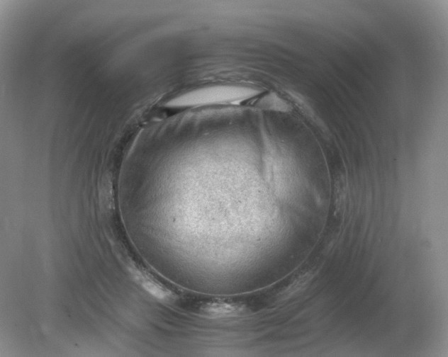 X0000079340453200612011938