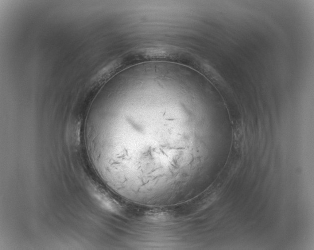 X0000079340454200612011938