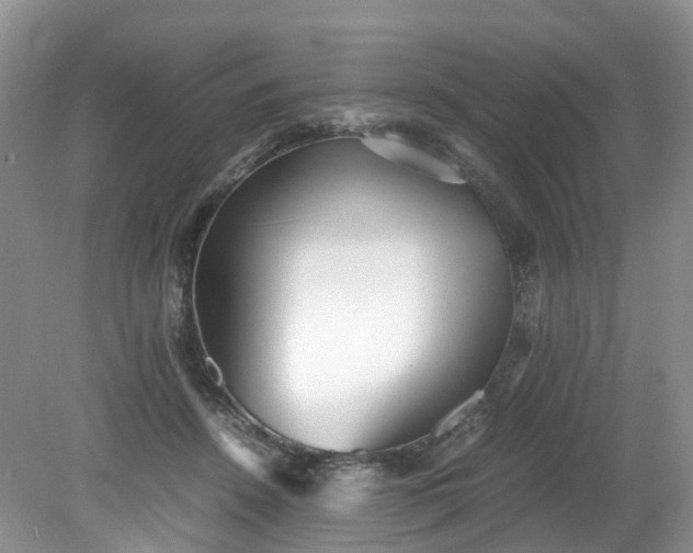 X0000079340456200612011938