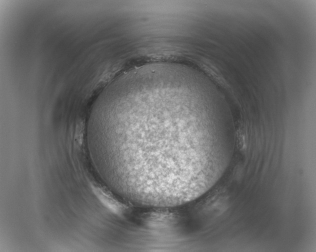 X0000079340458200612011938