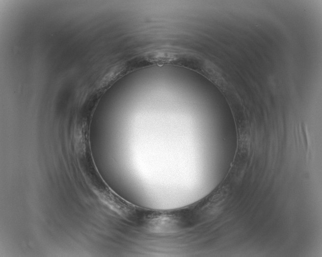 X0000079340460200612011938