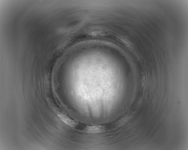 X0000079340461200612011938