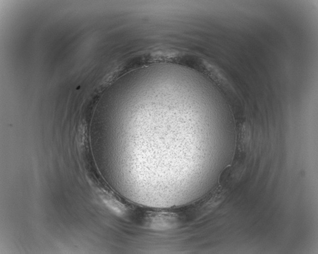 X0000079340463200612011938